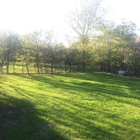 Green Nest Banesti Exterior photo